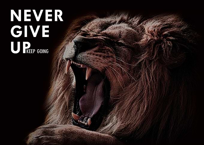 Never Give Up