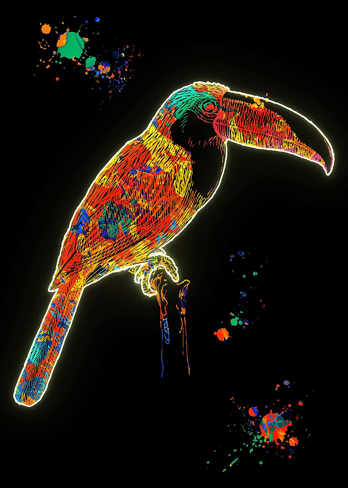 Parrot