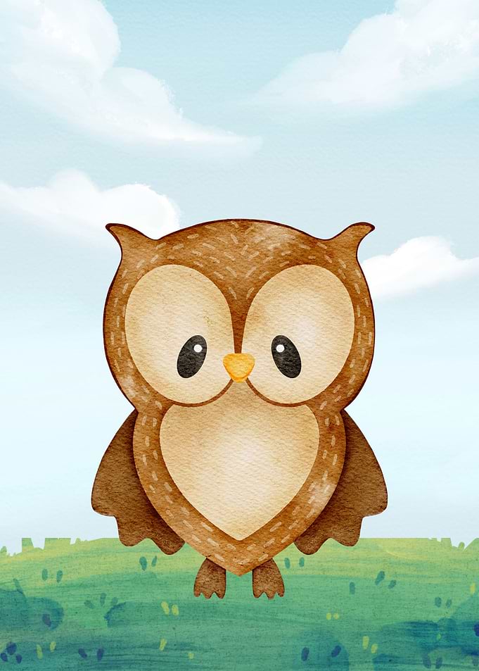 Owl