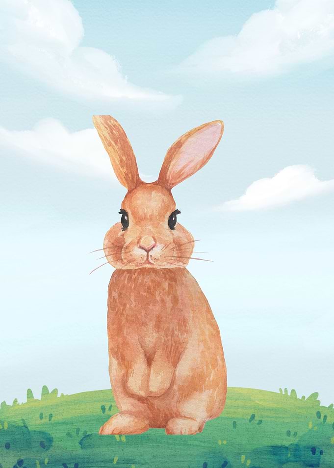 Bunny