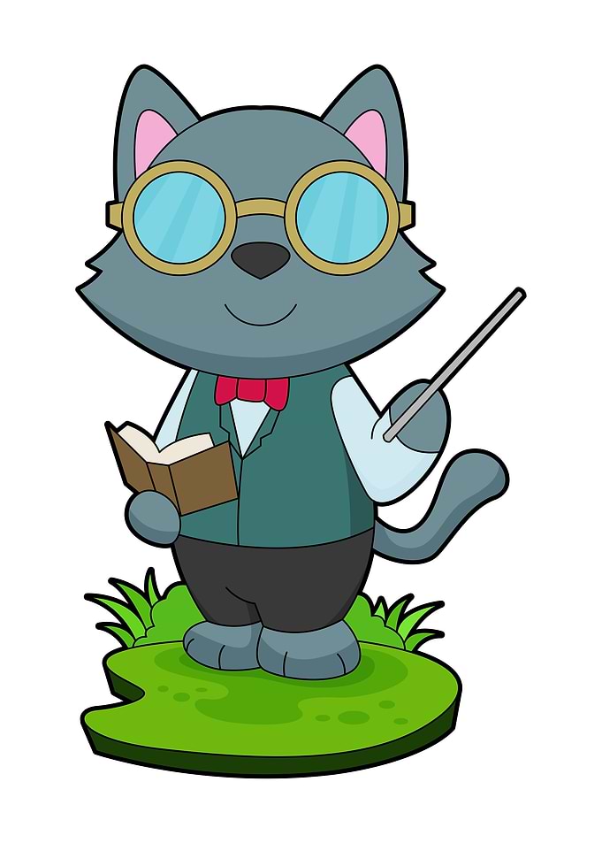 Cat Teacher Book