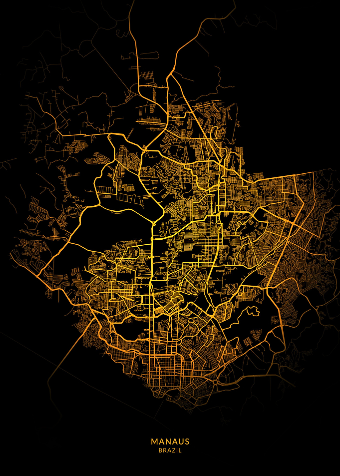 Manaus City Map Gold