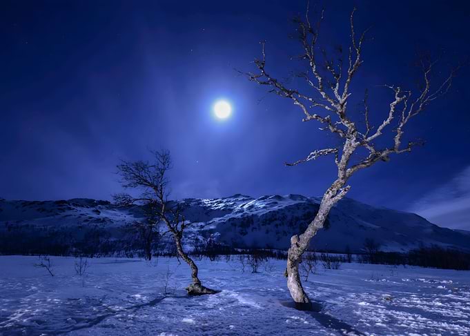 moon