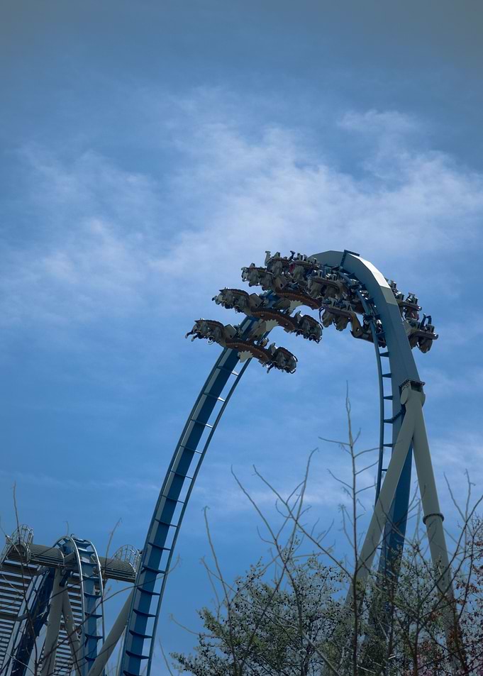 Wild Eagle Loop