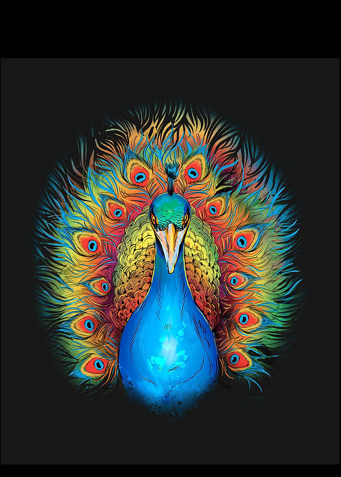 Colorful Peacock