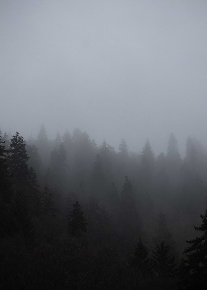 The Great Smoky Mountains