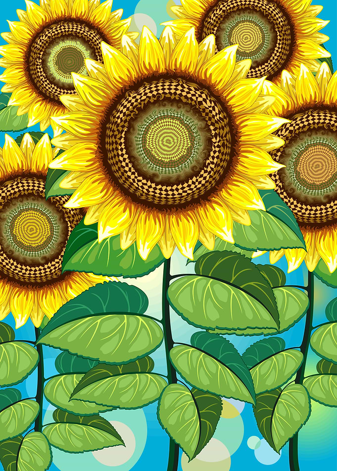 Sunflowers Summer Nature