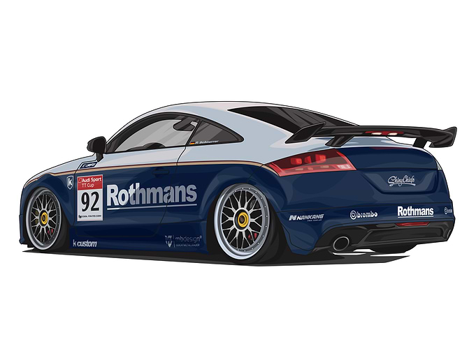 Audi TT 8J Racecar White