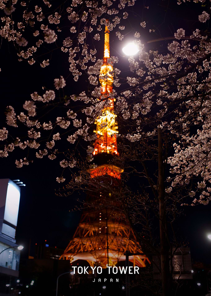 Tokyo Tower