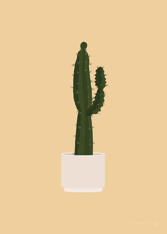 Saguaro Cactus Illustrated
