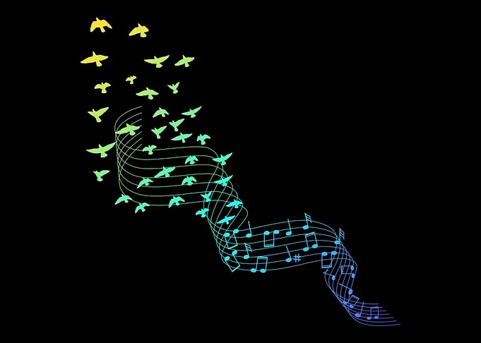 Colorful Birds Women