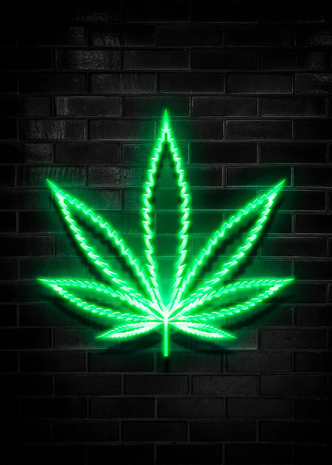 Cannabis