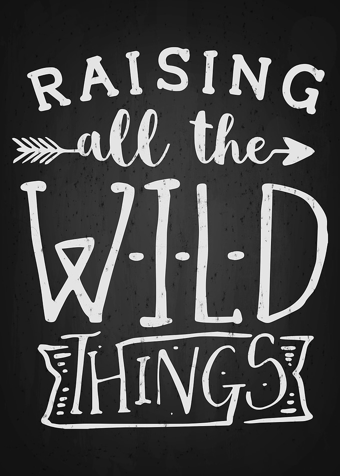 Wild Things
