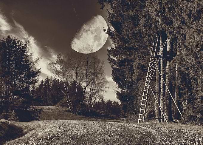 Hunterseat with moon