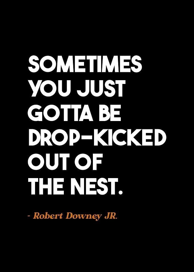 Robert Downey Jr