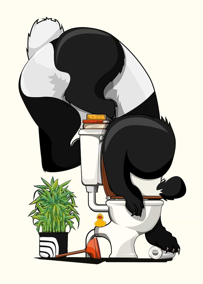 Panda Bear Drinking Toilet