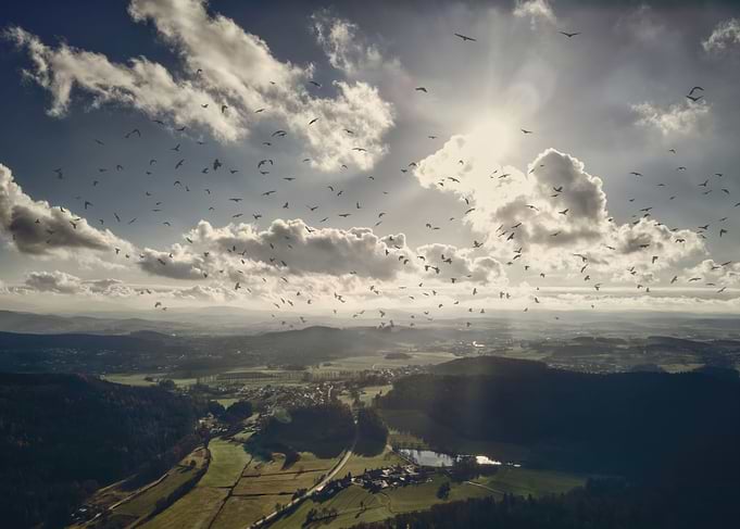 Beautiful Sky with Birds