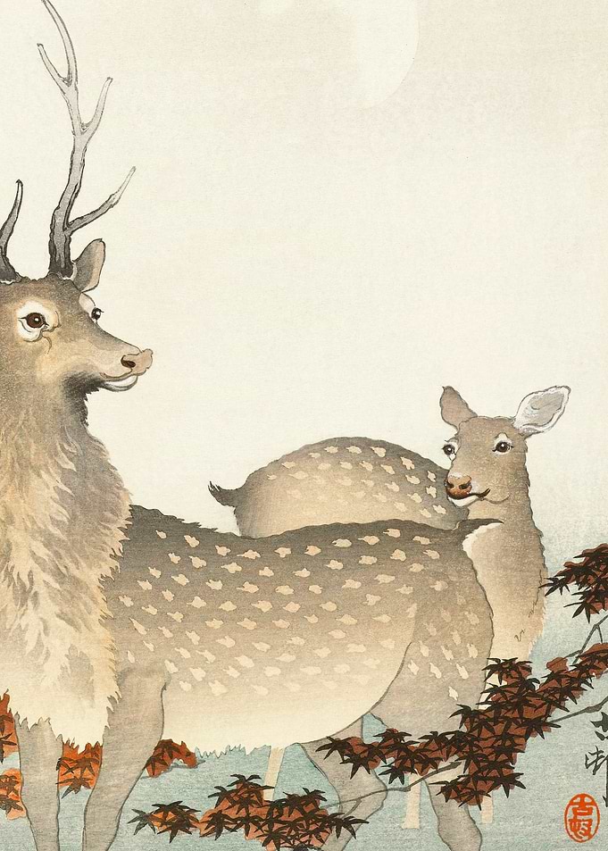 Japanese deers Ohara Koson
