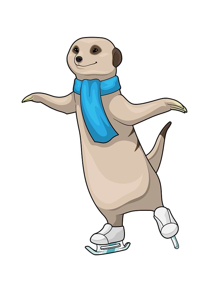 Meerkat Ice skating Sports