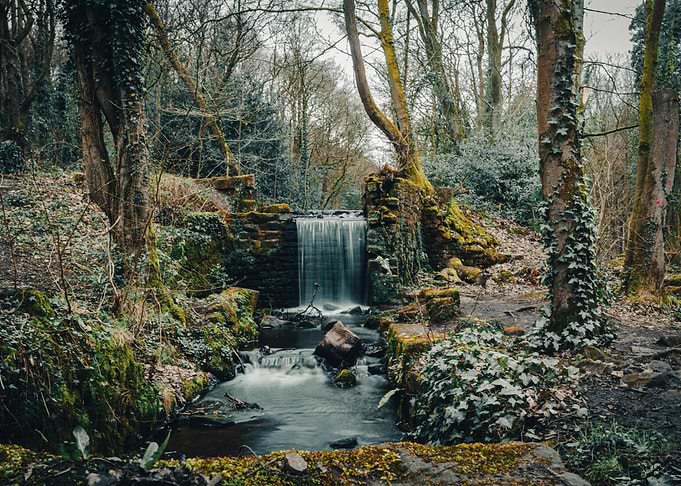 Old Forest Waterfall