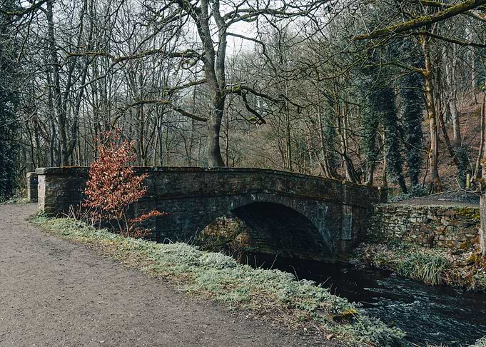 Old Forest Bridge