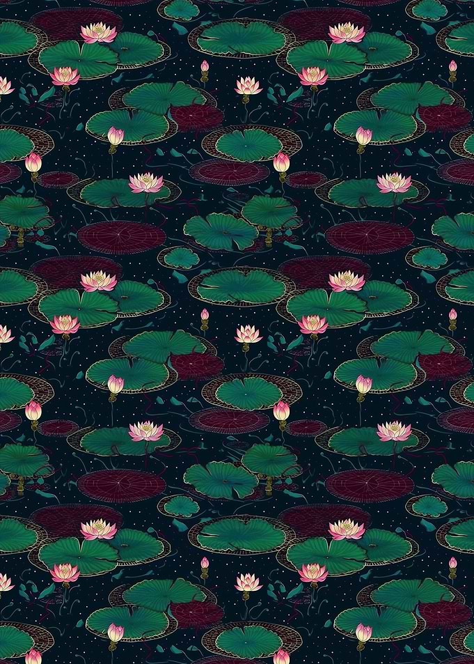 Lotus field