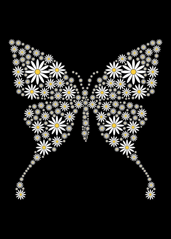Cute Daisy Butterfly