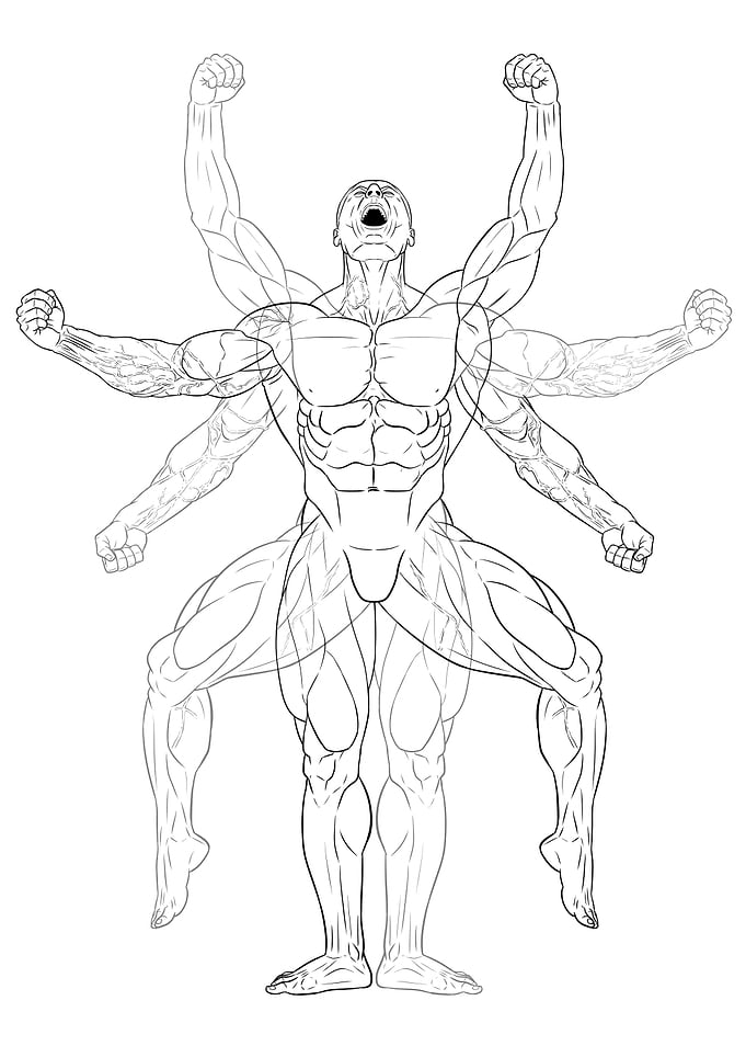 Muscles in motion
