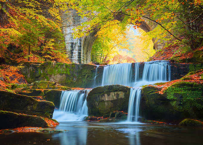 Natures