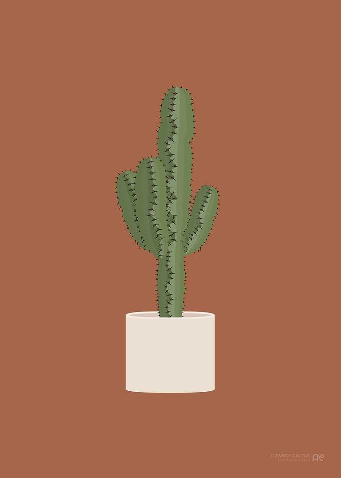 Cowboy Cactus Illustration
