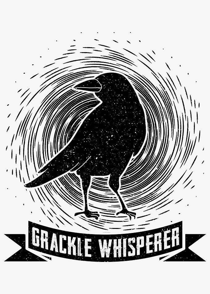 Blackbird Grackle
