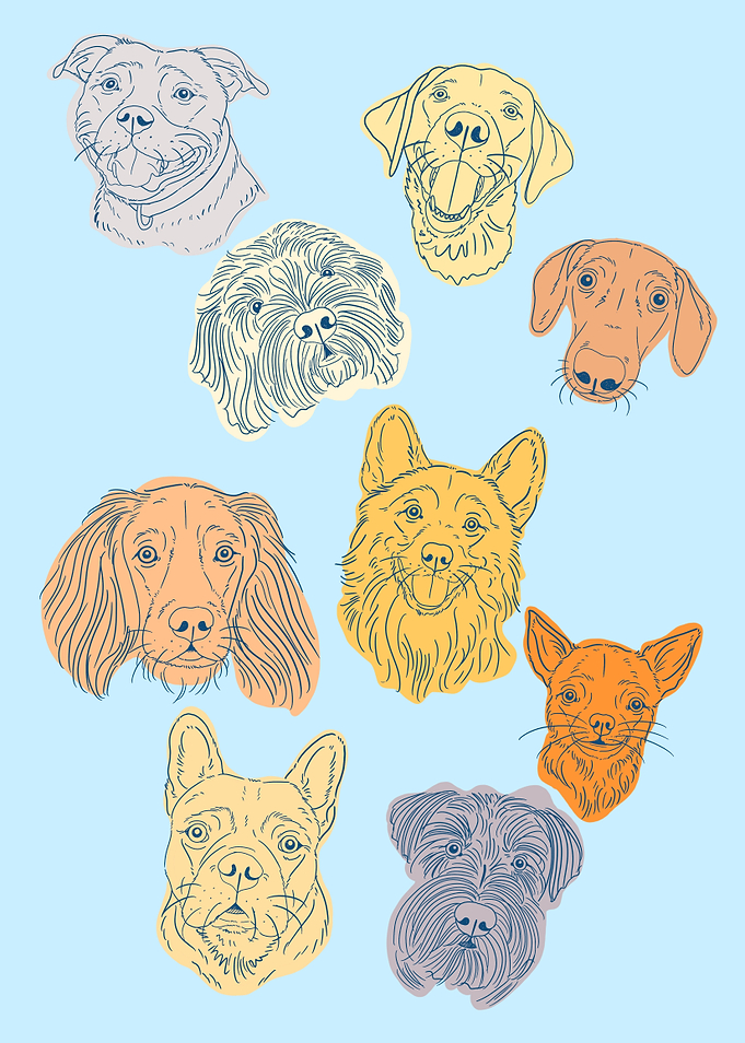 Dog Portrait Pattern
