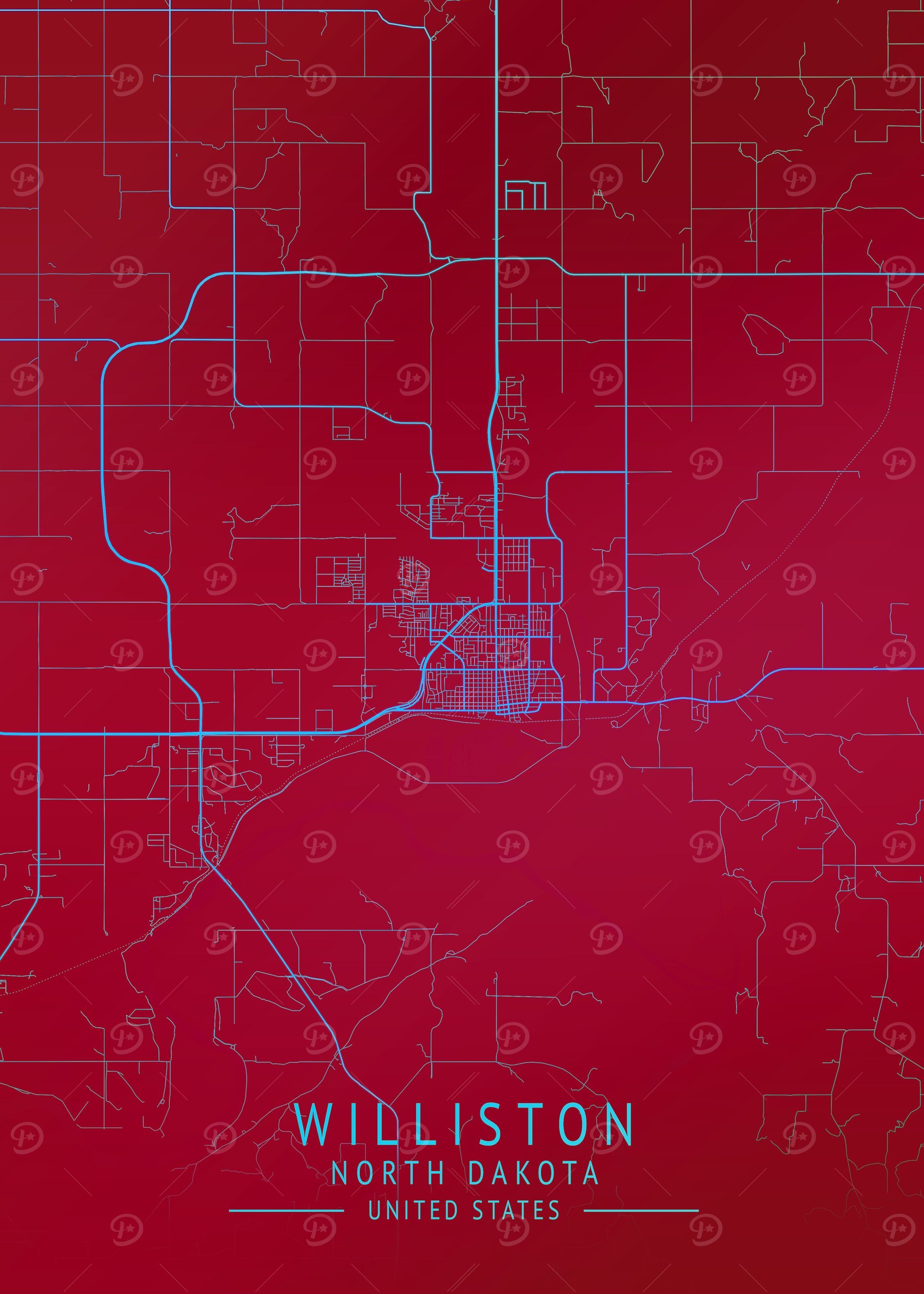 Williston USA City Map