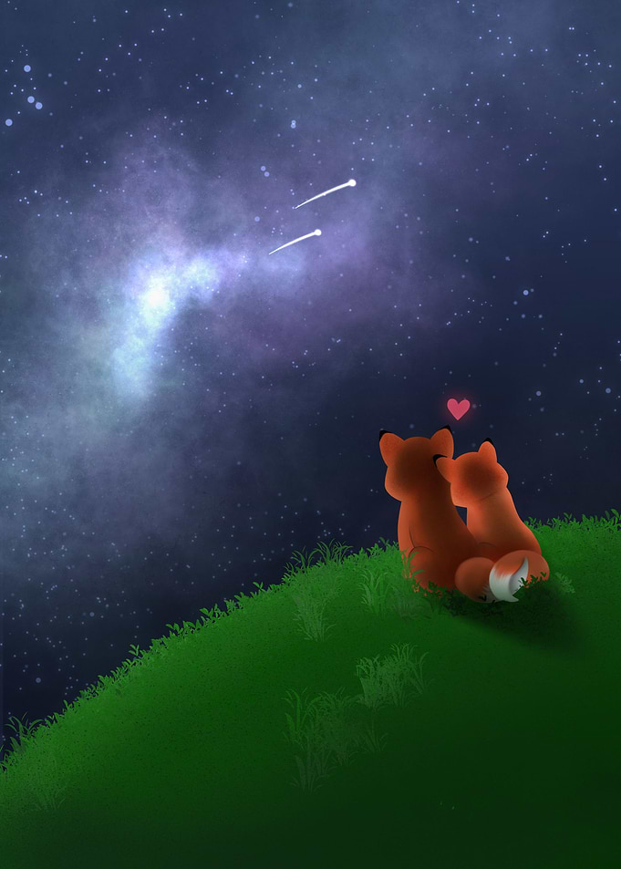 Foxes in love