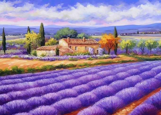 Lavender Field