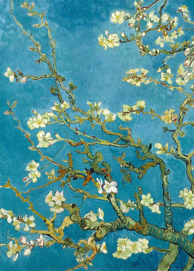 Almond Blossom Paintings