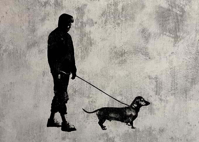 Dachshund Dog Walk