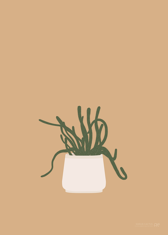 Shrub Cactus Illustration