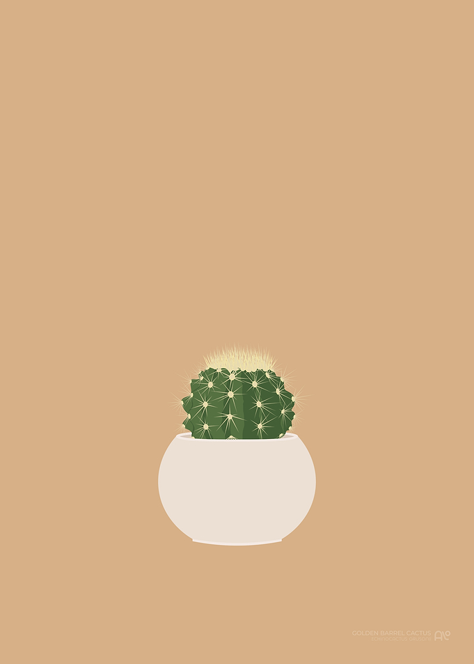 Golden Barrel Cactus