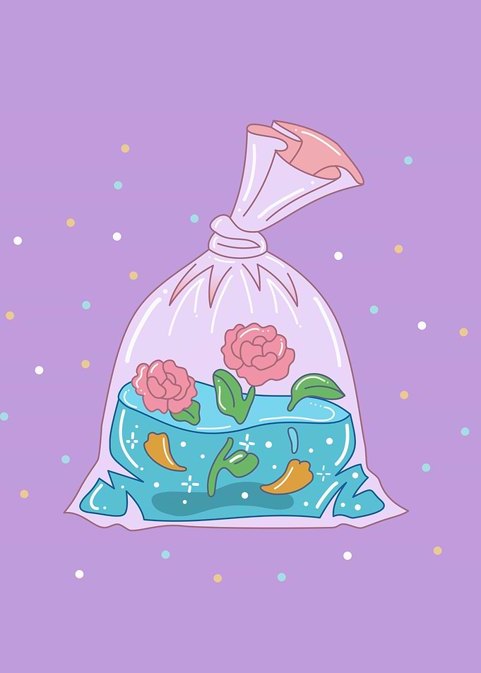 Aesthetic Terrarium