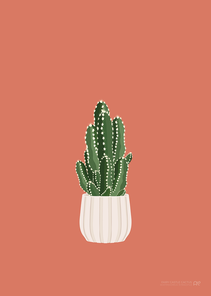 Fairy Castle Cactus