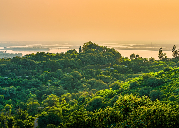 Beautiful Nature