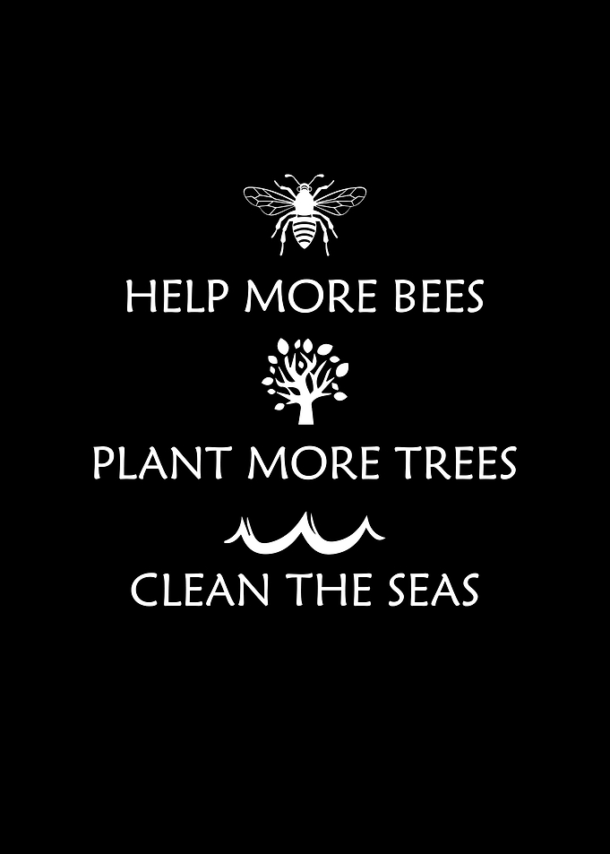 Help more bees