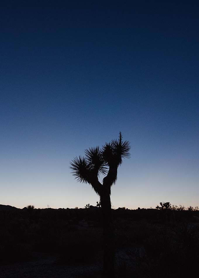 nature is desert