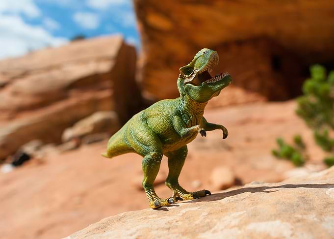 Tyrannosaurus Roar