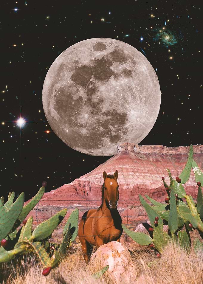 A Horse in Space