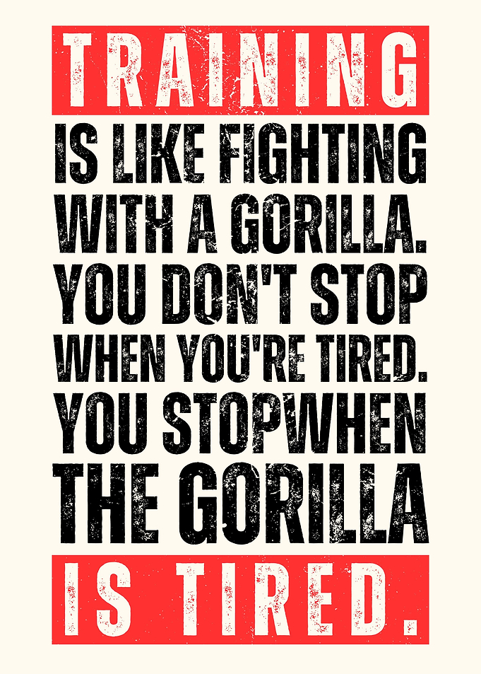 Training is Like Fighting