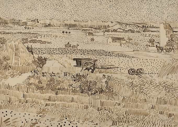 Harvest in Provence
