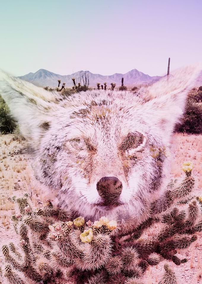 Wild Desert