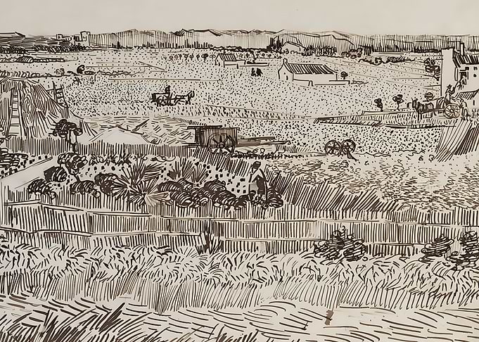 Harvest in Provence
